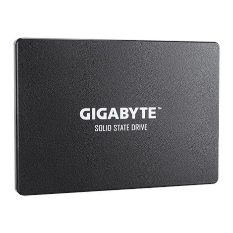 Gigabyte | GP-GSTFS31120GNTD | 120 GB | SSD form factor 2.5-inch | SSD interface SATA | Read speed 500 MB/s | Write speed 380 MB - 3